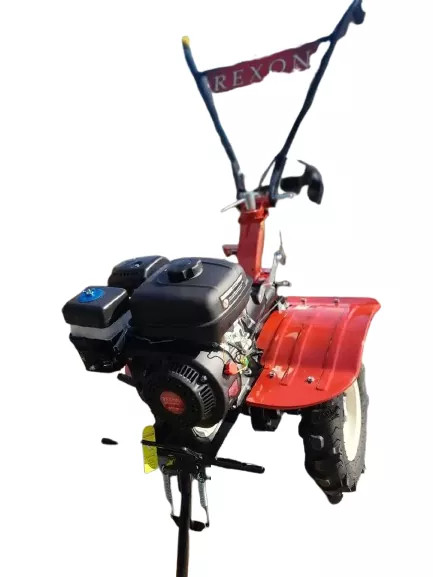 تیلر رکسون 7 اسب