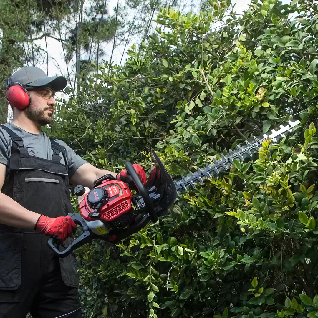 شمشاد زن بنزینی رونیکس 600 وات