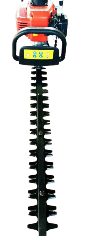 شمشاد زن بنزینی اگرو